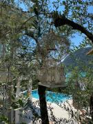 Top Sale Marasino Top Sale Marasino