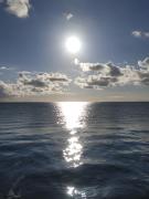 Top Saint-Vaast-la-Hougue