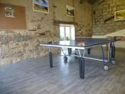 Gîte rustique avec salle de jeux et animaux en campagne - FR-1-426-336