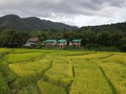 Top Ban Na Kham
