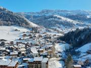 Appartement cosy T3 proche village et pistes pour 4 pers, équipé, casier à skis, ascenseur - FR-1-342-281