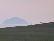 Turnberry Holiday Park fantastic Seaview