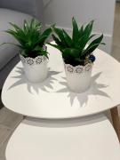 Top Alhama de Aragón