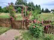 Top Białowieża Top Białowieża