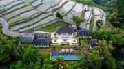 Top Ubud
