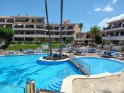 Top San Miguel de Abona