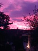 Dimora Dalia - Puglia Mia Apartments