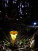 Top Puchuncaví Top Puchuncaví