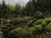 Top Szczytna Top Szczytna