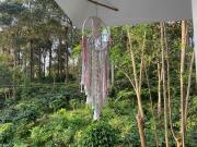 Top Thekkady