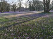Top Husum
