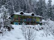 Gypsy House Gypsy House