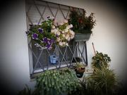 Top El Real de la Jara