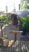 Top Oudtshoorn