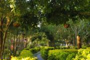 Top Ooty