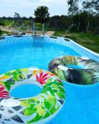 Top Jelgava