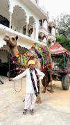 Top Pushkar