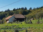 Top Wiedlisbach Top Wiedlisbach