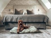 Top Guildford Top Guildford