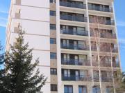 Appartement lumineux 6 pers, 2 chambres, à 50m des pistes, animaux admis - FR-1-416-113