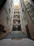 Lulivo e il colibrì