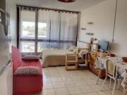 Appartement Climatisé avec Balcon, Animaux Admis - FR-1-503-128