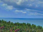 Victoria Phu Quoc hotel Beachfront Night market