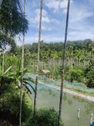 Top Sultan Bathery