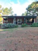 Árbol de Oro - Terrafirme