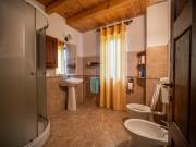 Top Făgăraş Top Făgăraş