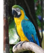 Top Città di Castello