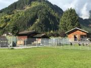 Top Bichlbach