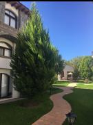 Top San Miguel de Allende