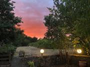 Top Castelnau-sur-lʼAuvignon