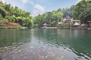 Top Tengchong