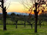 Top Fucecchio Top Fucecchio