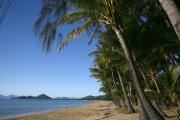 Top Palm Cove
