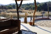 Waterberg Game Lodge