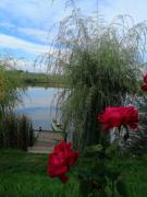 COMPLEX AGREMENT BELLAVI