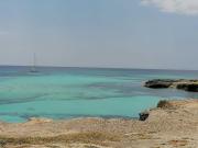 Top Favignana