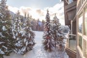 Top Whistler