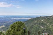 Top Dharamshala