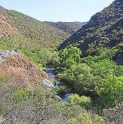 Top Oudtshoorn