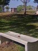 Top Trapiche Top Trapiche