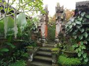 Top Ubud