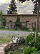 Top Castiglione dʼOrcia