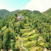 Top Dharamshala