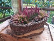 Top Leśna Top Leśna