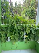 June’s comfort paradise