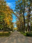 Top Vorzelʼ Top Vorzelʼ